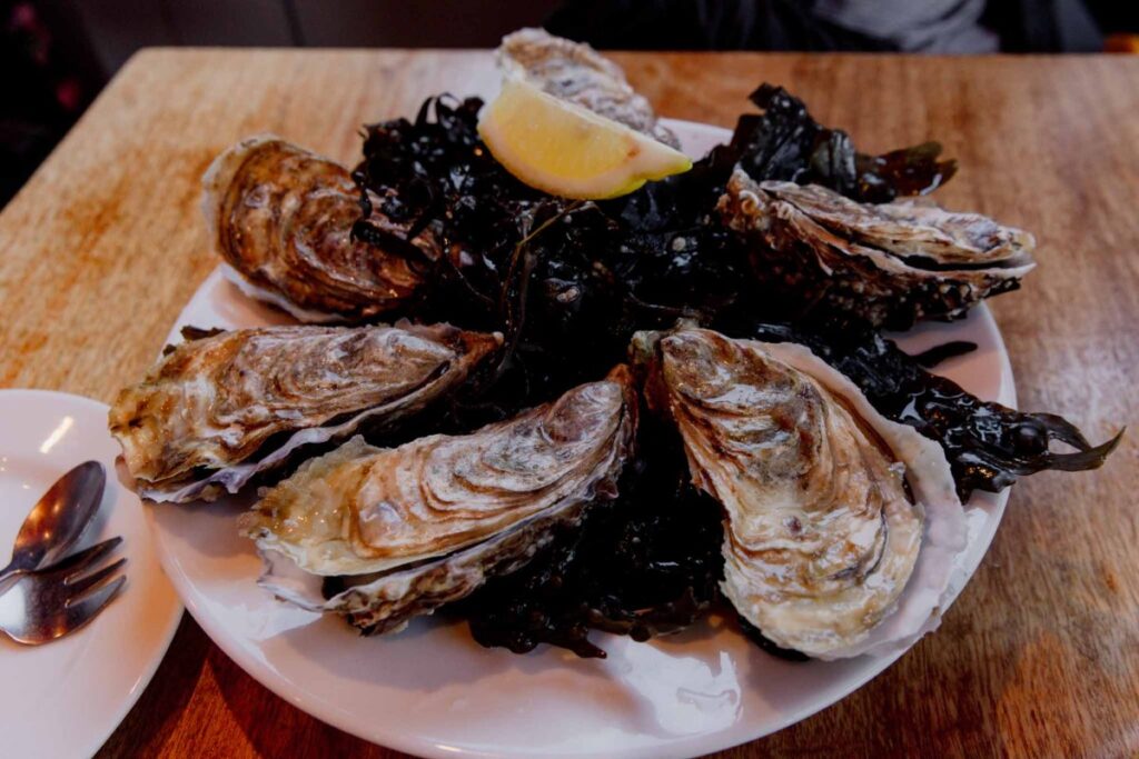 oysters