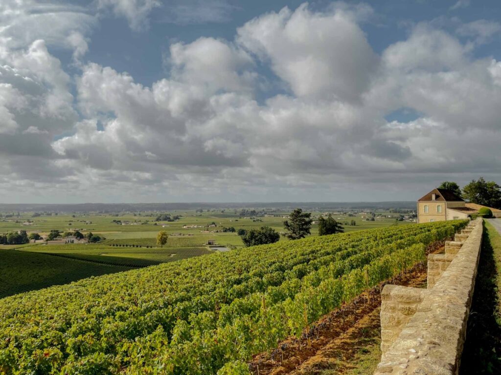 Easy Day Trips to Wine Country