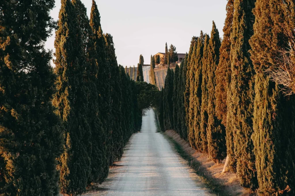 Best Day Trips from Florence